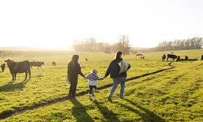 Essential Guide to Farm Succession Planning: Securing Your Agricultural Legacy